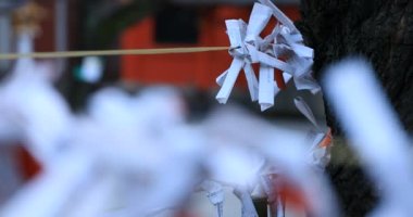 Japon geleneksel tapınağında kahinler. Shinjuku ilçesi Tokyo Japonya - 01.21.2019 : Geleneksel tapınakta Omikuji adında bir Japon kahini. kamera : Canon Eos 5d mark4