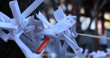 Japon geleneksel tapınağında kahinler. Shinjuku ilçesi Tokyo Japonya - 01.21.2019 : Geleneksel tapınakta Omikuji adında bir Japon kahini. kamera : Canon Eos 5d mark4