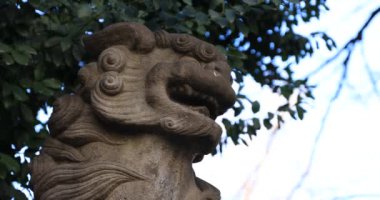 Geleneksel tapınakta heykel koruyucu köpek. Shinjuku ilçesi Tokyo Japonya - 01.21.2019 : Geleneksel türbede eski bir heykeldir. kamera : Canon Eos 5d mark4