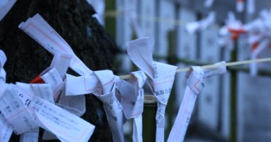 Japon geleneksel tapınağında kahinler. Shinjuku ilçesi Tokyo Japonya - 01.21.2019 : Geleneksel tapınakta Omikuji adında bir Japon kahini. kamera : Canon Eos 5d mark4