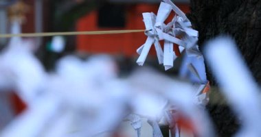Japon geleneksel tapınağında kahinler. Shinjuku ilçesi Tokyo Japonya - 01.21.2019 : Geleneksel tapınakta Omikuji adında bir Japon kahini. kamera : Canon Eos 5d mark4