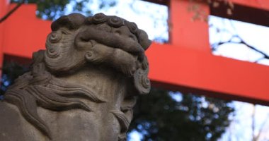 Geleneksel tapınakta heykel koruyucu köpek. Shinjuku ilçesi Tokyo Japonya - 01.21.2019 : Geleneksel türbede eski bir heykeldir. kamera : Canon Eos 5d mark4