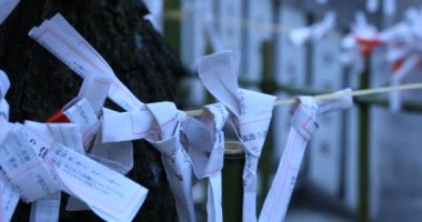 Japon geleneksel tapınağında kahinler. Shinjuku ilçesi Tokyo Japonya - 01.21.2019 : Geleneksel tapınakta Omikuji adında bir Japon kahini. kamera : Canon Eos 5d mark4