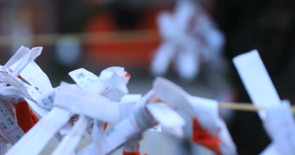 Oráculos Santuário Tradicional Japonês Shinjuku Distrito Tóquio Japão 2019 Oráculo — Vídeo de Stock