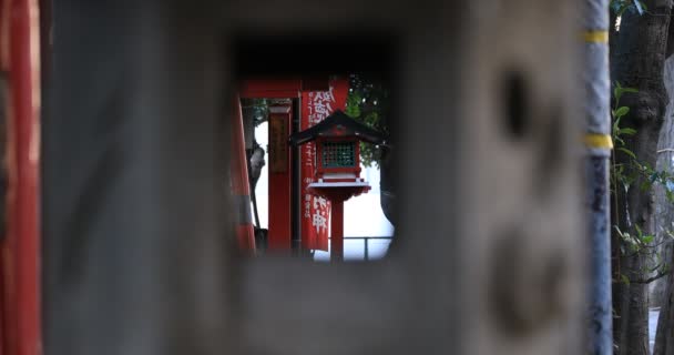 Linterna Santuario Tradicional Japonés Distrito Shinjuku Tokio Japón 2019 Una — Vídeo de stock