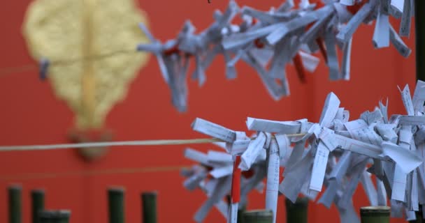 Оракули Японському Традиційному Святині Повіт Синдзюку Токіо Японія 2019 Японський — стокове відео