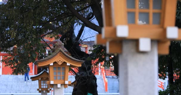 Lantern Kuil Tradisional Jepang Distrik Shinjuku Tokyo Japan 2019 Ini — Stok Video