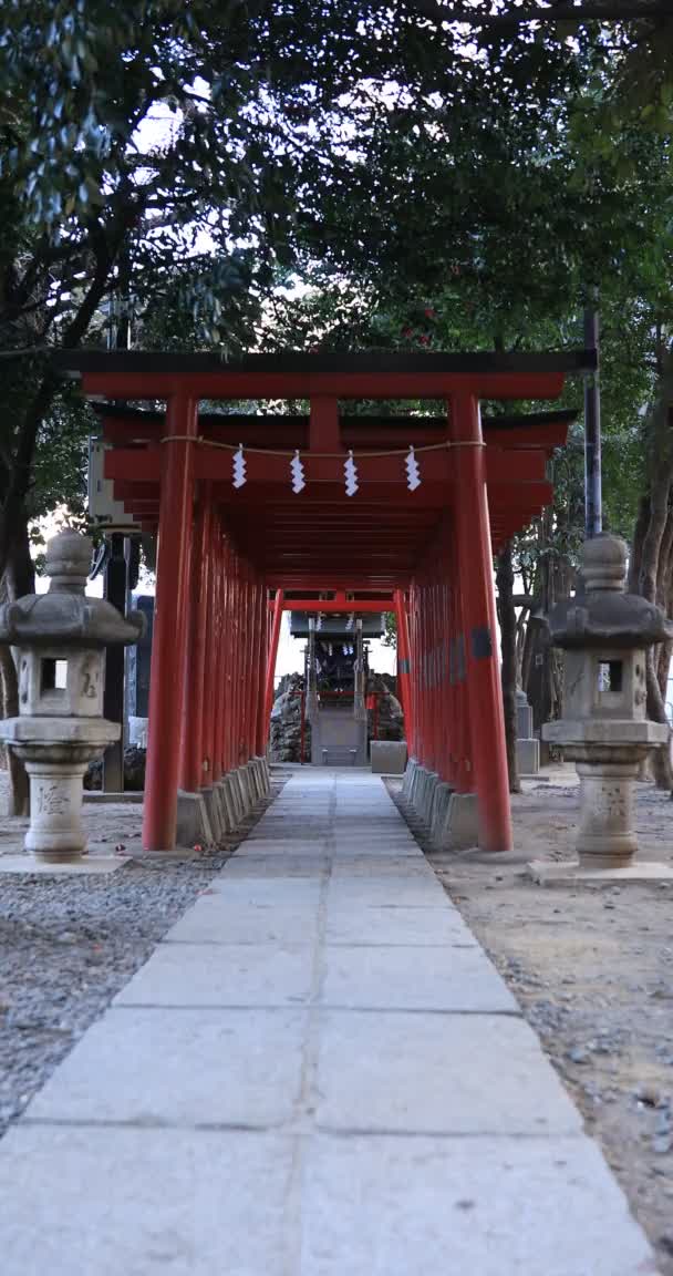 Grande Porte Sanctuaire Traditionnel Japonais Shinjuku District Tokyo Japon 2019 — Video
