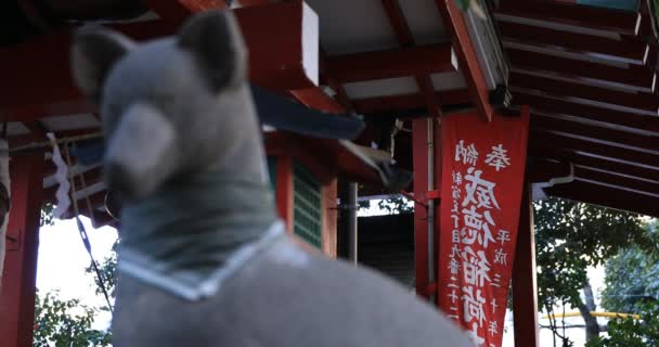 伝統的な神社の像守護犬 東京都新宿区 2019 伝統的な神社の古い像です カメラ キヤノンEos 5Dマーク4 — ストック動画