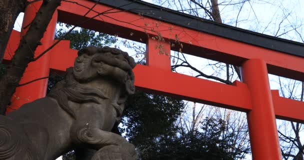Собака Хранительница Статуи Традиционном Храме Японский Район Синдзюку 2019 Старая — стоковое видео