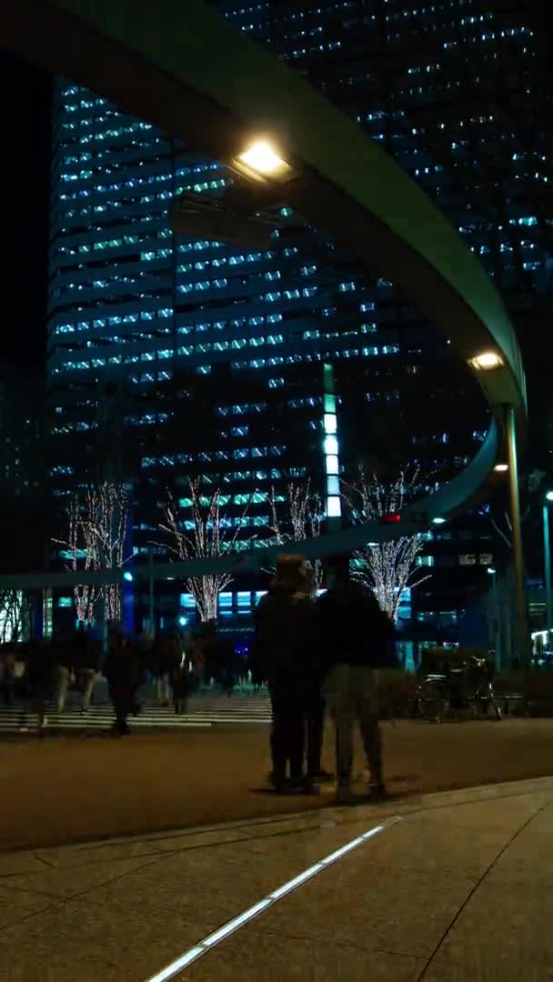 Night Time Lapse Urban Street Crossing Business Town Shinjuku Ward — Stock Video