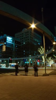 İş kasabasında gece vakti şehir içi cadde geçişi. Shinjuku-ward Shinjuku Tokyo Japonya 01.22.2019: Tokyo 'da bir şehir. Kamera: Canon EOS 5D işaret 4