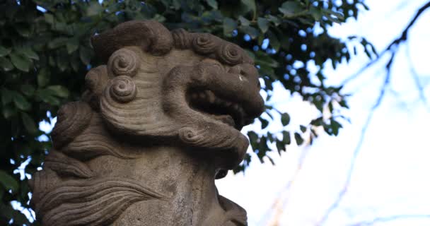 Estatua Perro Guardián Santuario Tradicional Distrito Shinjuku Tokio Japón 2019 — Vídeos de Stock