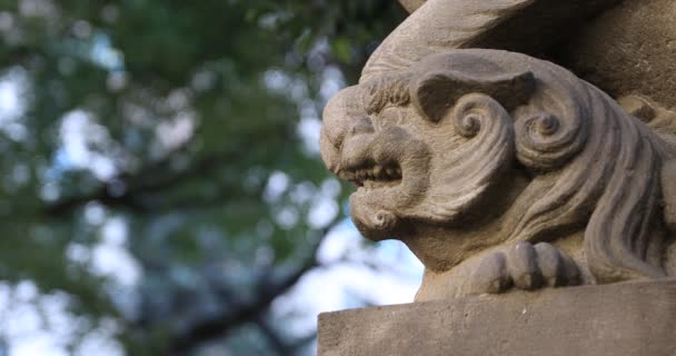 Статуя Охоронця Собаки Традиційній Святині Район Синдзюку Токіо Японія 2019 — стокове відео