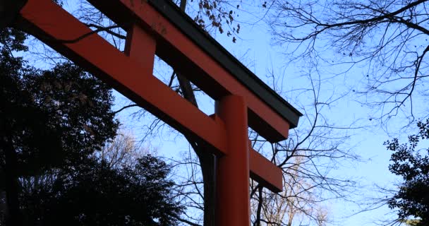 Großes Tor Traditionellen Japanischen Schrein Shinjuku Bezirk Tokyo Japan 2019 — Stockvideo