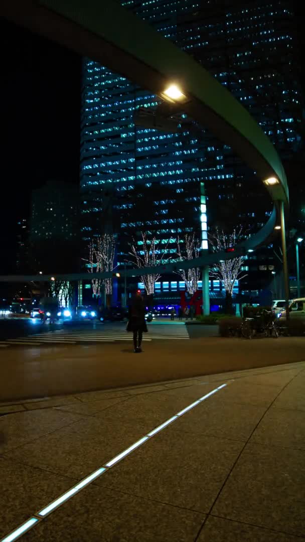 Night Time Lapse Urban Street Business Town Shinjuku Ward Shinjuku — Stock Video