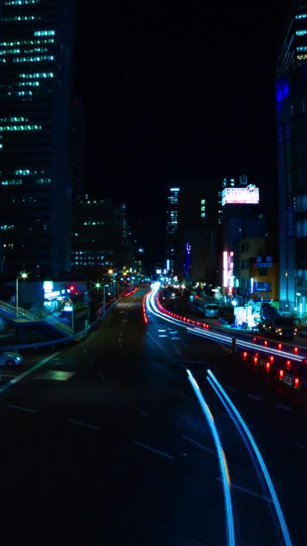 Night Time Lapse Urban Street Business Town Vertical Shot Shinjuku — Stock Video