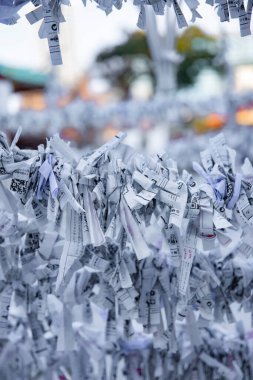 Japon geleneksel tapınağında kahinler. Chiyoda ilçesi Tokyo Japonya - 02.07.2019 : Geleneksel tapınakta Omikuji adında bir Japon kahini. Çeviri oracles metin servet . Kamera