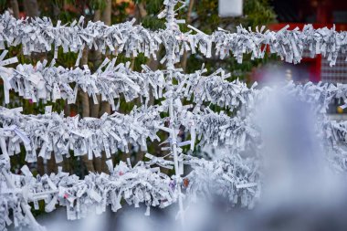 Japon geleneksel tapınağında kahinler. Chiyoda ilçesi Tokyo Japonya - 02.07.2019 : Geleneksel tapınakta Omikuji adında bir Japon kahini. Çeviri oracles metin servet . Kamera