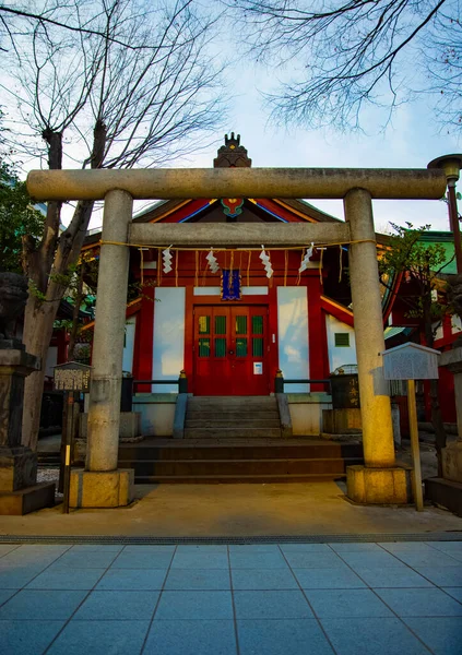Большие Ворота Традиционном Японском Храме Chiyoda Район Токио Япония 2019 — стоковое фото