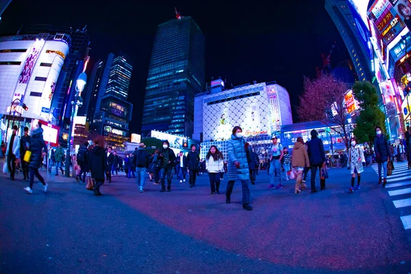 Éjszakai Átkelés Neon Városban Shibuya Kerület Tokió Japán 2019 Város — Stock Fotó