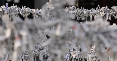 Japon geleneksel tapınağında kahinler toplanıyor. Chiyoda bölgesi Tokyo - 02.07.2019: Geleneksel tapınakta OMIKUJI adında bir Japon kahin. Kahinlerin metin servetine çeviri