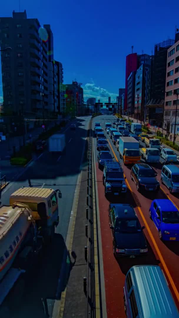 Timelapse Calle Ciudad Centro Tiro Vertical Durante Día Cámara Shibuya — Vídeo de stock