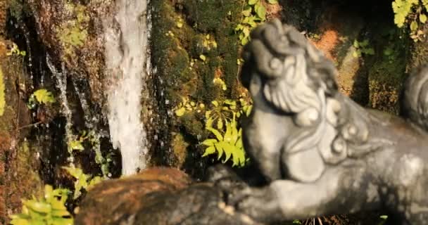 Posąg Psa Kuratora Tradycyjnej Świątyni Koncentrując Chiyoda Powiat Tokio Japonia — Wideo stockowe
