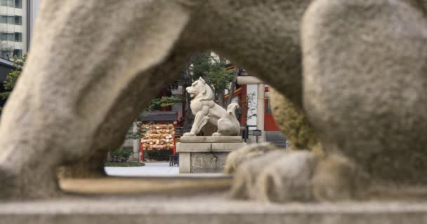 Estatua Guardián Perro Tradicional Santuario Enfoque Distrito Chiyoda Tokio Japón — Vídeo de stock