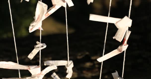 Оракулы Традиционном Японском Святилище Вертикальный Выстрел Chiyoda Район Токио Япония — стоковое видео