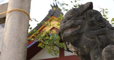 Geleneksel tapınakta koruyucu köpek heykeli. Chiyoda bölgesi Tokyo - 02.07.2019: Geleneksel tapınakta bulunan eski bir heykel. Kamera: Canon EOS 5D işaret 4