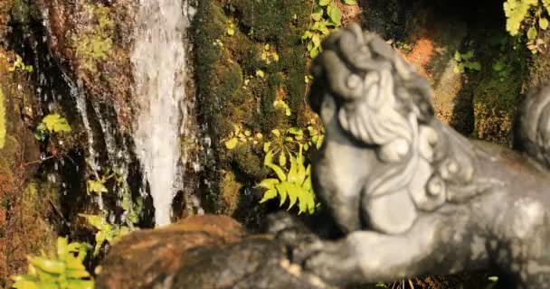 Estátua Cão Guardião Santuário Tradicional Closeup Chiyoda Distrito Tóquio Japão — Vídeo de Stock