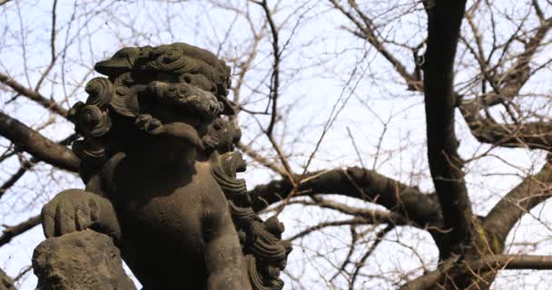 Chien Gardien Statue Sanctuaire Traditionnel Copyspace Chiyoda District Tokyo Japon — Video