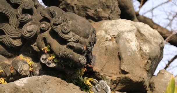 Perro Guardián Estatua Primer Plano Del Santuario Tradicional Distrito Chiyoda — Vídeos de Stock