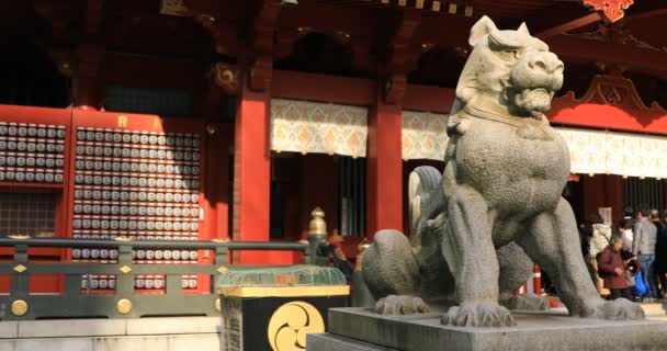 Statua Cane Custode Presso Tradizionale Santuario Copyspace Distretto Chiyoda Tokyo — Video Stock