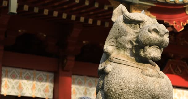 伝統的な神社のコピースペースでの像の守護犬 千代田区東京都 2019 伝統的な神社の古い像です カメラ Canon Eos Mark4 — ストック動画
