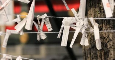 Japon geleneksel tapınağındaki kahinler. Chiyoda bölgesi Tokyo - 02.07.2019: Geleneksel tapınakta OMIKUJI adında bir Japon kahin. Kahinlerin metin servetine çeviri