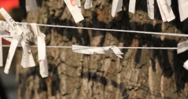 Japon geleneksel tapınağındaki kahinler. Chiyoda bölgesi Tokyo - 02.07.2019: Geleneksel tapınakta OMIKUJI adında bir Japon kahin. Kahinlerin metin servetine çeviri