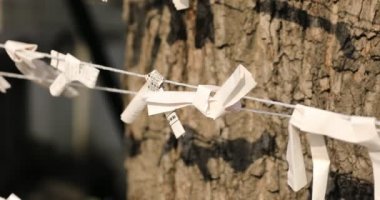 Japon geleneksel tapınağındaki kahinler. Chiyoda bölgesi Tokyo - 02.07.2019: Geleneksel tapınakta OMIKUJI adında bir Japon kahin. Kahinlerin metin servetine çeviri
