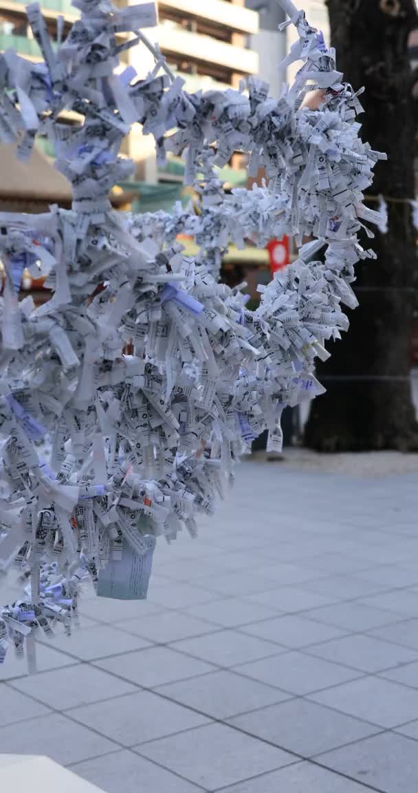 Japon Geleneksel Tapınağı Dikey Çekimlerinde Kahinler Chiyoda Bölgesi Tokyo 2019 — Stok video