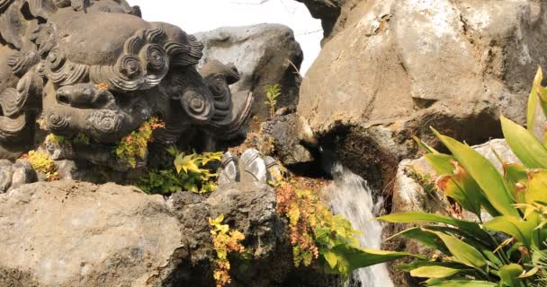 Statue Wächterhund Traditionellen Schrein Kopierraum Chiyoda District Tokyo Japan 2019 — Stockvideo