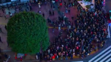 Neon Kasabası 'nda gece geç saatte geçiş. Yüksek açılı orta açılı çekim. Shibuya Ward Tokyo Japonya - 02.14.2019: Tokyo 'nun merkezidir. Kamera: Canon EOS 5D işaret 4