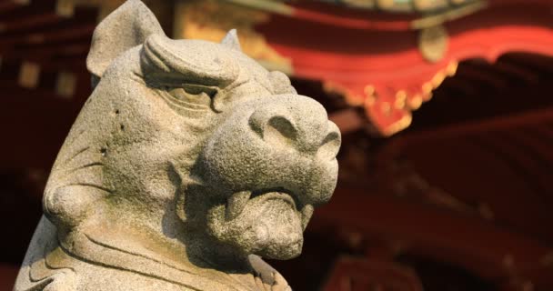 Άγαλμα Φύλακας Σκύλος Στο Παραδοσιακό Ιερό Closeup Chiyoda District Τόκιο — Αρχείο Βίντεο