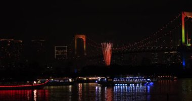 Havai fişekler gece karanlık gökyüzü arkasında. Koutou-ku Odaiba Tokyo Japonya - 12.08.2018: Bu s Tokyo şehir konum. fotoğraf makinesi: Canon Eos 5d mark4