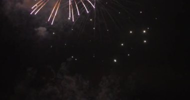 Havai fişekler gece karanlık gökyüzü arkasında. Koutou-ku Odaiba Tokyo Japonya - 12.08.2018: Bu s Tokyo şehir konum. fotoğraf makinesi: Canon Eos 5d mark4