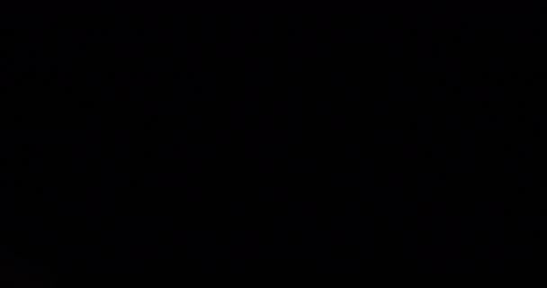 Fogos Artifício Bokeh Atrás Céu Escuro Noite Koutou Odaiba Tokyo — Vídeo de Stock