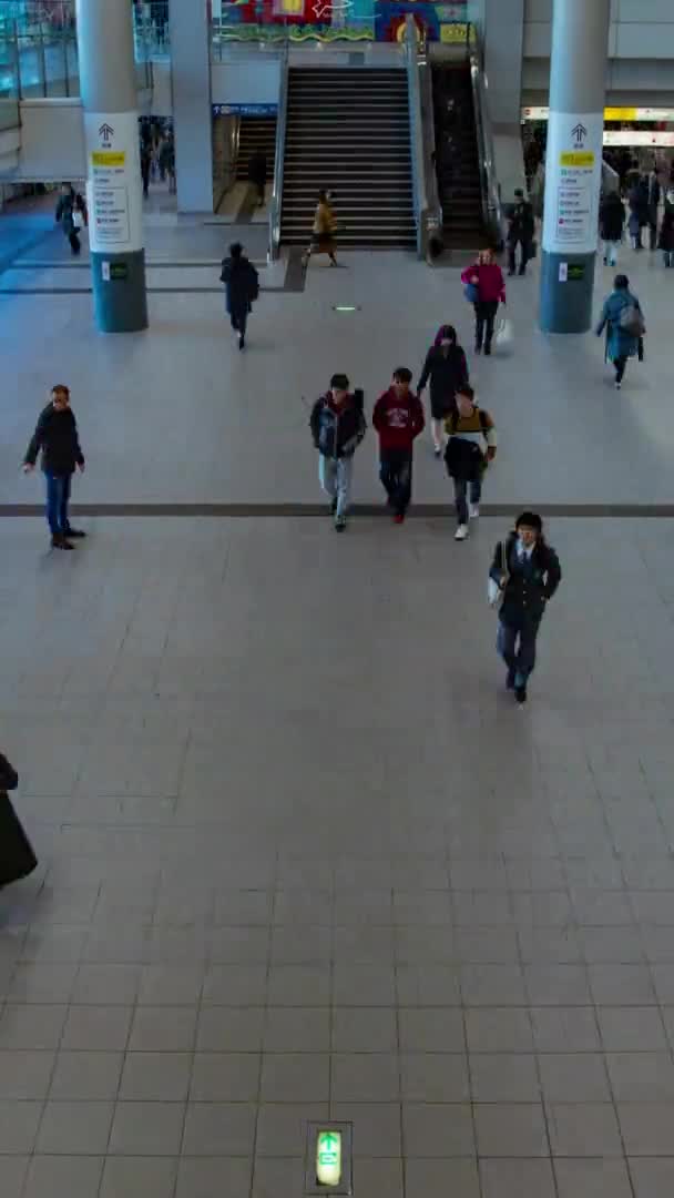 Gente Che Cammina Alla Stazione Stradale Giorno Timelapse Inclinazione Verticale — Video Stock