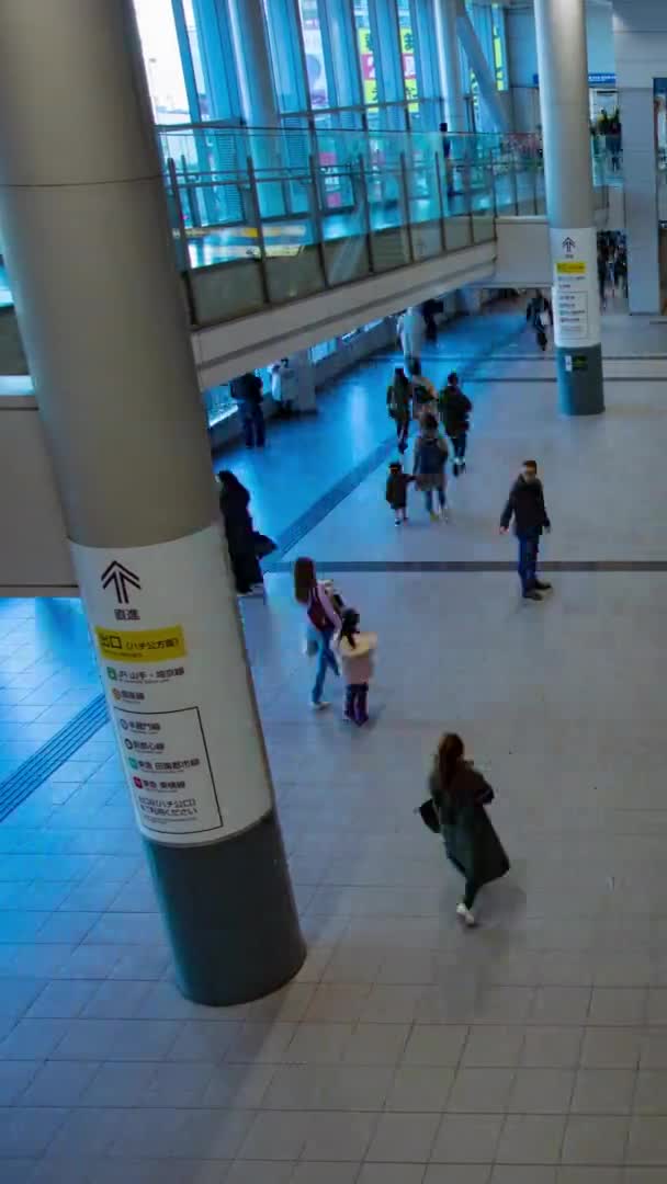 Marcher Les Gens Route Gare Jour Timelapse Vertical Shot Panning — Video