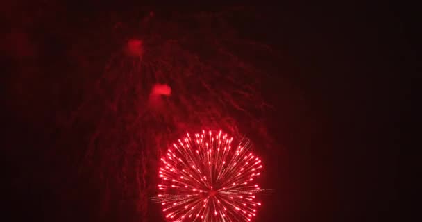 夜の暗い空の背後にある花火 お台場東京都江東区 2018 東京市内に位置します カメラ キヤノン Eos Mark4 — ストック動画