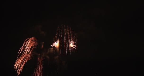 Fuochi Artificio Dietro Cielo Buio Notte Koutou Odaiba Tokyo Giappone — Video Stock